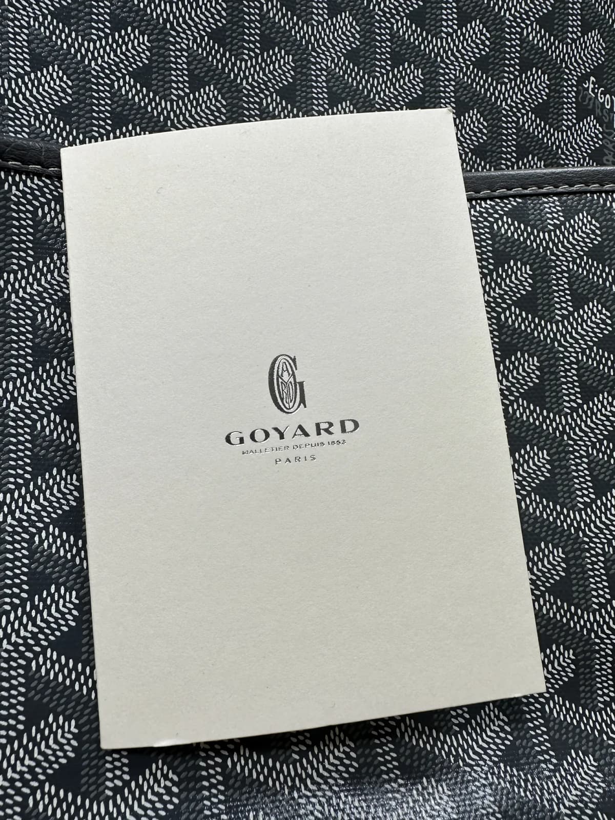 Goyard Jouvence Toiletry Bag — photo 13